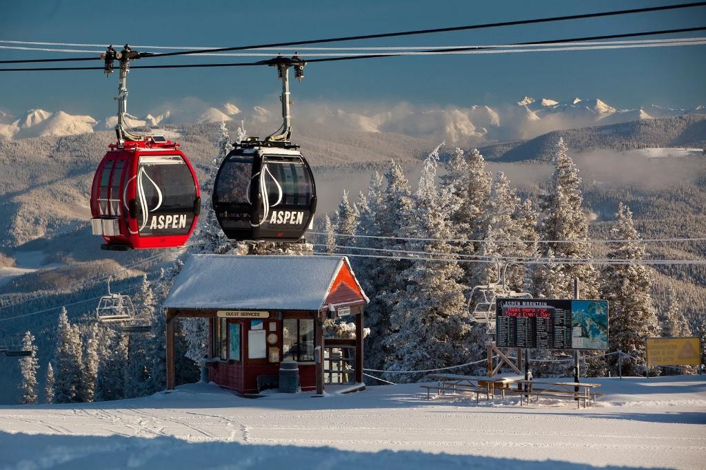 Aspen in Winter